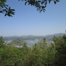 진주축산업협동조합 생축사업장 Daum카페