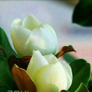 멋진 하루 이미지