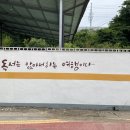 금성초등학교병설유치원 이미지