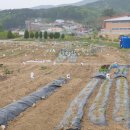 영남농장 이미지