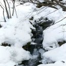 애환한우 Daum카페