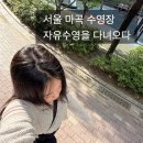 수영 | 엠스타휘트니스ㅣ강서구 마곡 수영장 자유수영 후기