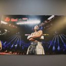 레드복싱 이미지