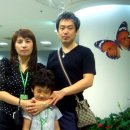 개봉하이츠빌라트 이미지