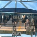 사직중앙로 | 쪄죽는 여름은 싫어!! 그치만 여름 휴가는 좋아 ( ื▿ ืʃƪ) (1박2일 부산여행 + 사직야구장)