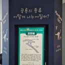 그림자 체험놀이 이미지