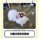 더왈츠앤조이피아 이미지