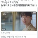 오늘도봄날