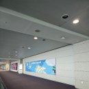 전국천사무료급식소 | 6월 4주 차