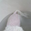 숑숑펫살롱 이미지