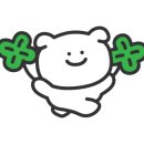 누아(nuah) 이미지