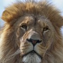 원국상사 이미지