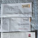 조롱박씨앗반송이봉투3분보네요 이미지