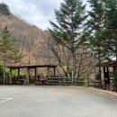 하나로마트 금성농협본점 이미지