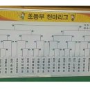 2016 전국유소년야구대회 (경주) 이미지