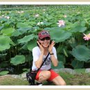 신정공원 이미지