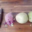 감자마을 이미지