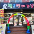 헬로펫 여수 | 여수 애견분양 애견샵 헬로펫~ 애견샵 여수점.