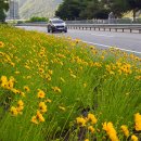 오며가며 이미지