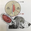 이다종합동물병원 이미지