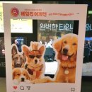 보듬어 줄개 | 오늘도 수고한 당신, 이리오개 안아줄개♥ <베일리 어게인> 시사회 후기