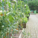 대전수미초등학교 이미지