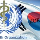 한국 이미지