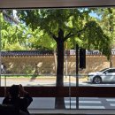 서촌명가 | [서촌 카페] 경복궁 돌담길 뷰맛집, 커피 명가 '테일러커피' 서촌점 방문 후기