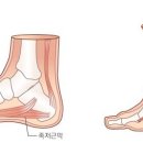 세마그린요양병원 이미지