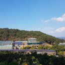 생이소리 이미지