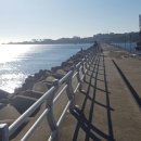 양포등대펜션 이미지