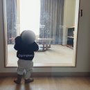 엔터스카이 이미지