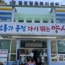 솔바람