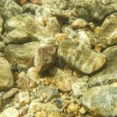 별천계곡 이미지