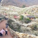 섬진소프트 이미지