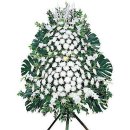 한가라지 이미지