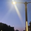 2025.June① 여름, 더움