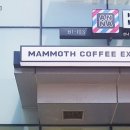 가디 카페 매머드 익스프레스에서 간단히 커피 한 잔!
