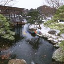 한일인삼 이미지