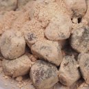 생활명가 이미지