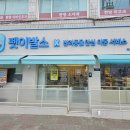 마포구 애견미용 비숑 6mm 귀툭튀컷, 커 보이던 얼굴이 동글동글해진 후기