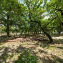 국민여가캠핑장 2 이미지