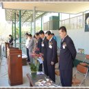 신안증도중학교 이미지