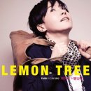 Lemon Tree - Fool`s Garden 이미지