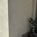 스테이숲숲 이미지