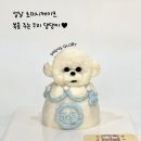 댕글로리 이미지