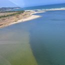 월송보신탕 이미지