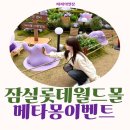 잠실 롯데월드몰 메타몽 반 사람 반 팝업 이벤트 5월 1일 솔직 후기
