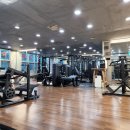 샾 피티 이미지