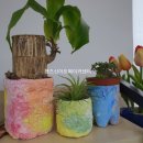 친환경 식물 메이커 이미지